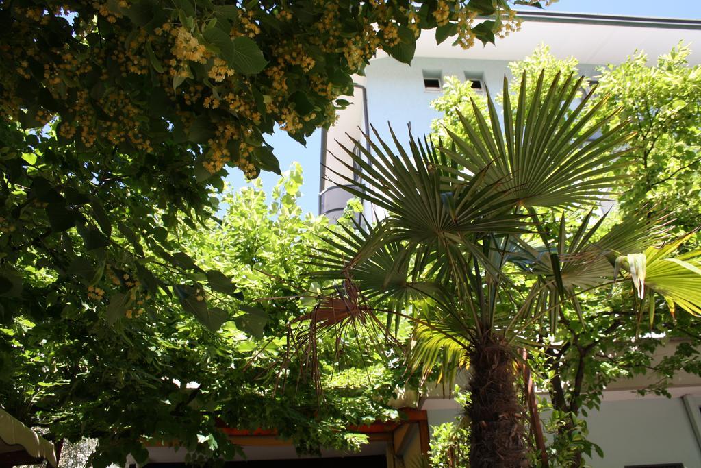 Hotel Villa dei Gerani Rimini Esterno foto